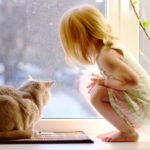 Установка металлопластиковых окон